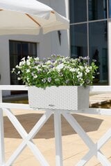 Lechuza vazonas Balconera Cottage 50, 19 cm kaina ir informacija | Loveliai | pigu.lt