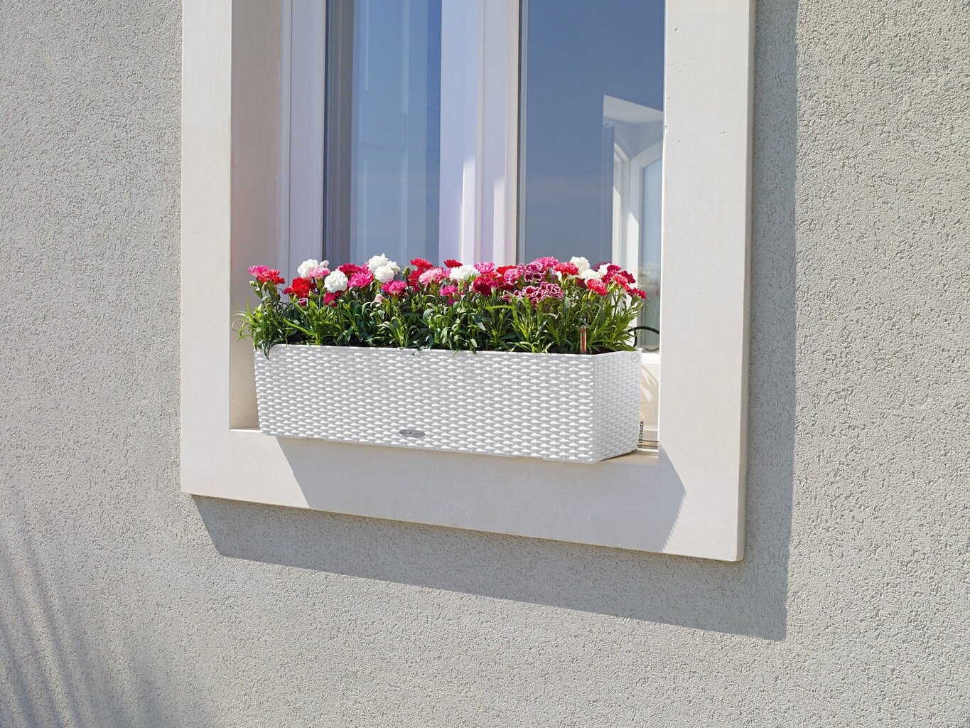 Lechuza vazonas Balconera Cottage 80, 19 cm kaina | pigu.lt