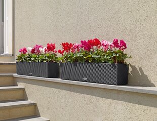 Lechuza vazonas Balconera Citage 80, 19 cm kaina ir informacija | Loveliai | pigu.lt