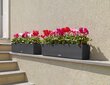 Lechuza vazonas Balconera Citage 80, 19 cm цена и информация | Loveliai | pigu.lt