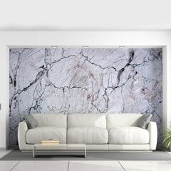 Фотообои с серым мраморным изображением Обои с каменным эффектом мрамора Декор интерьера  - 390 х 280 см цена и информация | Интерьерные наклейки | pigu.lt