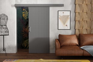 Раздвижная дверь для ниши Brent Lucas 80, серый цвет цена и информация | Шкафы | pigu.lt