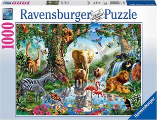 Dėlionė džiunglės Ravensburger 19837, 1000 d. kaina ir informacija | Dėlionės (puzzle) | pigu.lt