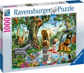 Dėlionė džiunglės Ravensburger 19837, 1000 d. kaina ir informacija | Dėlionės (puzzle) | pigu.lt