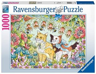 Dėlionė katės Ravensburger 16731, 1000 d. kaina ir informacija | Dėlionės (puzzle) | pigu.lt