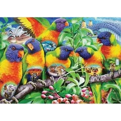 Dėlionė Papūgos Ravensburger, 1000d. kaina ir informacija | Dėlionės (puzzle) | pigu.lt