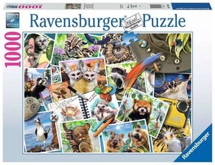 Паззл Животные Ravensburger цена и информация | Пазлы | pigu.lt