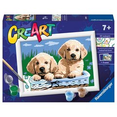 Раскраска по номерам Ravensburger CreArt Cute Puppies цена и информация | Набор для рисования по номерам | pigu.lt