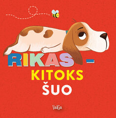 Rikas - kitoks šuo цена и информация | Сказки | pigu.lt