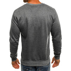 Megztinis vyrams 2003-744084, pilkas цена и информация | Мужские свитера | pigu.lt