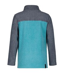 Džemperis berniukams Icepeak Lucky 519693335 kaina ir informacija | Megztiniai, bluzonai, švarkai berniukams | pigu.lt