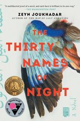 Thirty Names of Night kaina ir informacija | Fantastinės, mistinės knygos | pigu.lt