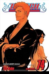 Bleach, Vol. 74: The Death and the Strawberry цена и информация | Fantastinės, mistinės knygos | pigu.lt