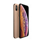 iPhone XS 64GB Gold цена и информация | Mobilieji telefonai | pigu.lt