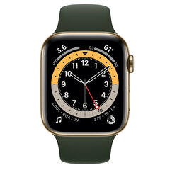 Apple Watch Series 6 44mm Gold Stainless Steel kaina ir informacija | Išmanieji laikrodžiai (smartwatch) | pigu.lt