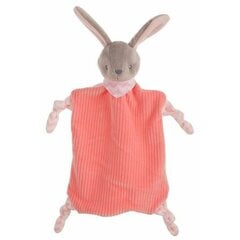 Дуду Розовый Кролик 29 x 29 cm цена и информация | Игрушки для малышей | pigu.lt