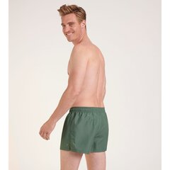 Мужские плавательные шорты Triumph, зелёные цена и информация | Плавки, плавательные шорты | pigu.lt