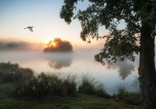 Consalnet Фотообои флизелиновые Nature 312x219 cm 14521VEXXL цена и информация | Фотообои | pigu.lt