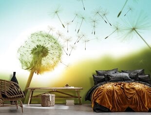 Consalnet Фотообои флизелиновые Dandelion 312 x 219 cm 14584VEXXL цена и информация | Фотообои | pigu.lt