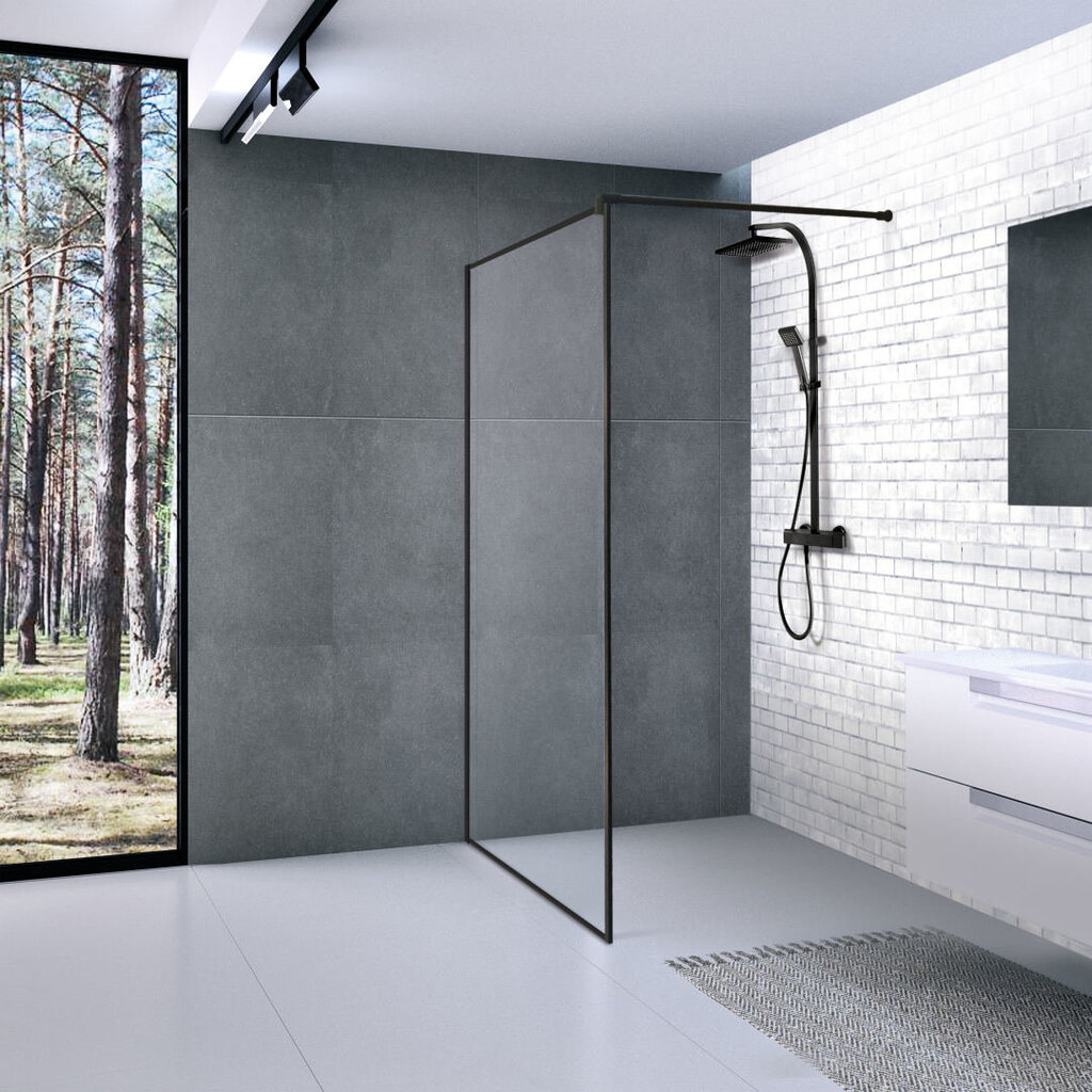 Industrinio stiliaus dušo sienelė Brasta Glass Ema Nero Frame, 900x2000 mm kaina ir informacija | Dušo durys ir sienelės | pigu.lt