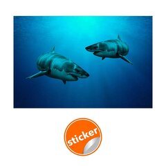 Фотообои с изображением акул Обои с подводным морским эффектом Декор интерьера  - 390 х 280 см цена и информация | Интерьерные наклейки | pigu.lt