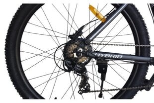 Электровелосипед Trybeco Fantom 29.3 20'' цена и информация | Электровелосипеды | pigu.lt