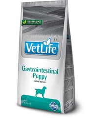 Farmina VetLife Dog Puppy Gastrointestinal корм для молодых собак с птицей, 12 кг цена и информация |  Сухой корм для собак | pigu.lt