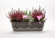 Lovelis augalams su laistymo sistema Mareta 17,5cm kaina ir informacija | Loveliai | pigu.lt
