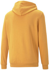 Džemperis vyrams Puma Ess 2 Col Big Logo 586765 30, geltonas kaina ir informacija | Džemperiai vyrams | pigu.lt