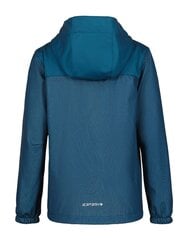 Icepeak детская куртка софтшелл Kingwood 51895-3*338, петроль 6438535773870 цена и информация | Куртки для мальчиков | pigu.lt