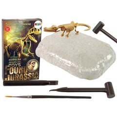 Коллекция археологических раскопок «Черепоголовый скелет динозавра» цена и информация | Развивающие игрушки | pigu.lt