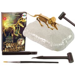 Набор археолога «Скелет динозавра трицератопса» цена и информация | Развивающие игрушки | pigu.lt