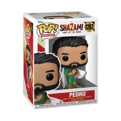 Funko Shazam! Pedro kaina ir informacija | Žaidėjų atributika | pigu.lt