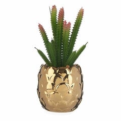 Декоративное растение Керамика Позолоченный Кактус Зеленый Пластик 6 штук цена и информация | Искусственные цветы | pigu.lt