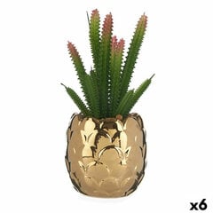 Декоративное растение Керамика Позолоченный Кактус Зеленый Пластик 6 штук цена и информация | Искусственные цветы | pigu.lt