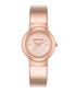 Laikrodis moterims Anne Klein AK/2656RGRG kaina ir informacija | Moteriški laikrodžiai | pigu.lt