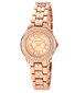 Laikrodis moterims Anne Klein AK/10/9536RMRG цена и информация | Moteriški laikrodžiai | pigu.lt