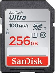 SanDisk SDSDUNR-256G-GN3IN kaina ir informacija | Atminties kortelės fotoaparatams, kameroms | pigu.lt