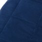 VidaXL antklodė, 220x260 cm kaina ir informacija | Antklodės | pigu.lt