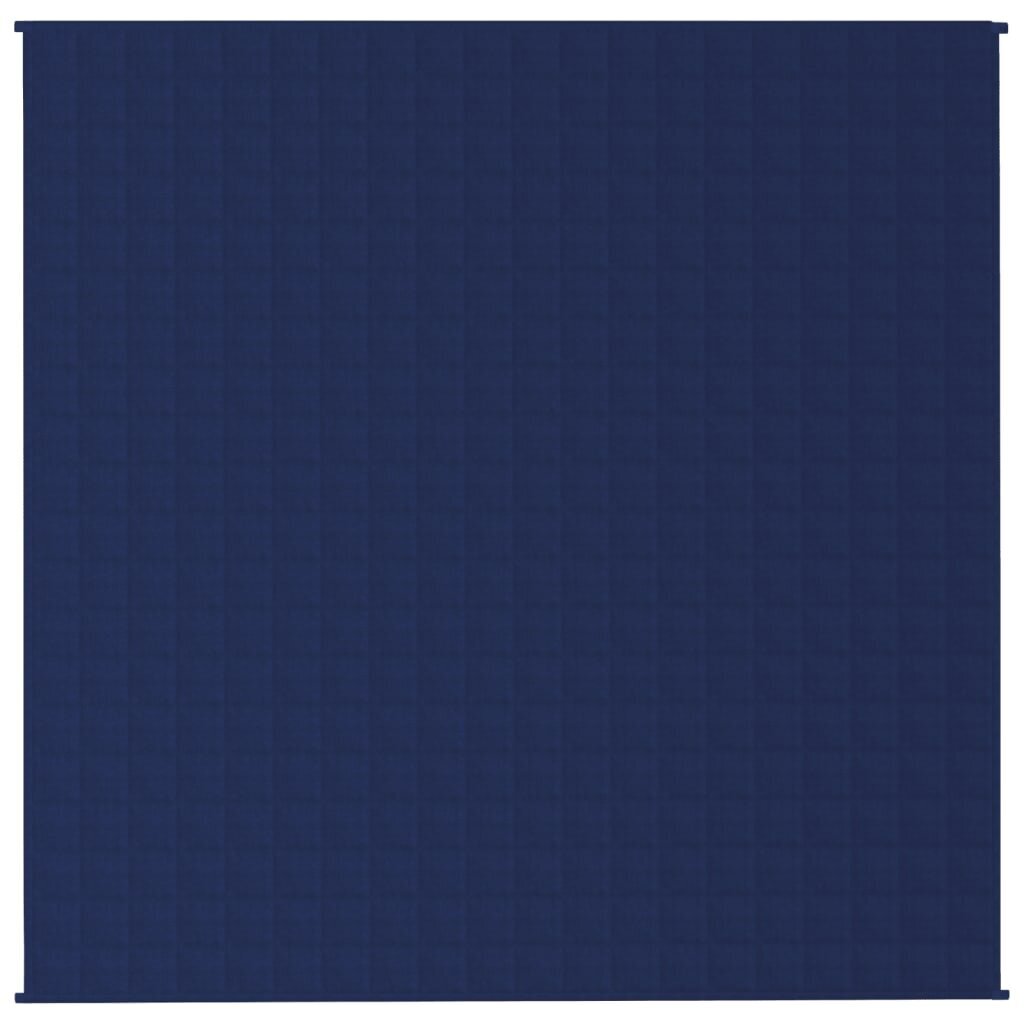 VidaXL antklodė, 200x200 cm цена и информация | Antklodės | pigu.lt