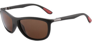 Vyriški akiniai nuo saulės Label L1345N Polarized kaina ir informacija | Akiniai nuo saulės vyrams | pigu.lt