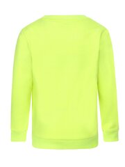 Джемпер DJ DUTCHJEANS Neon Yellow 520870166 цена и информация | Свитеры, жилетки, пиджаки для мальчиков | pigu.lt