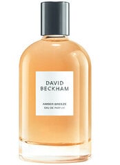 Kvapusis vanduo David Beckham Amber Breeze EDP vyrams, 100 ml kaina ir informacija | Kvepalai moterims | pigu.lt