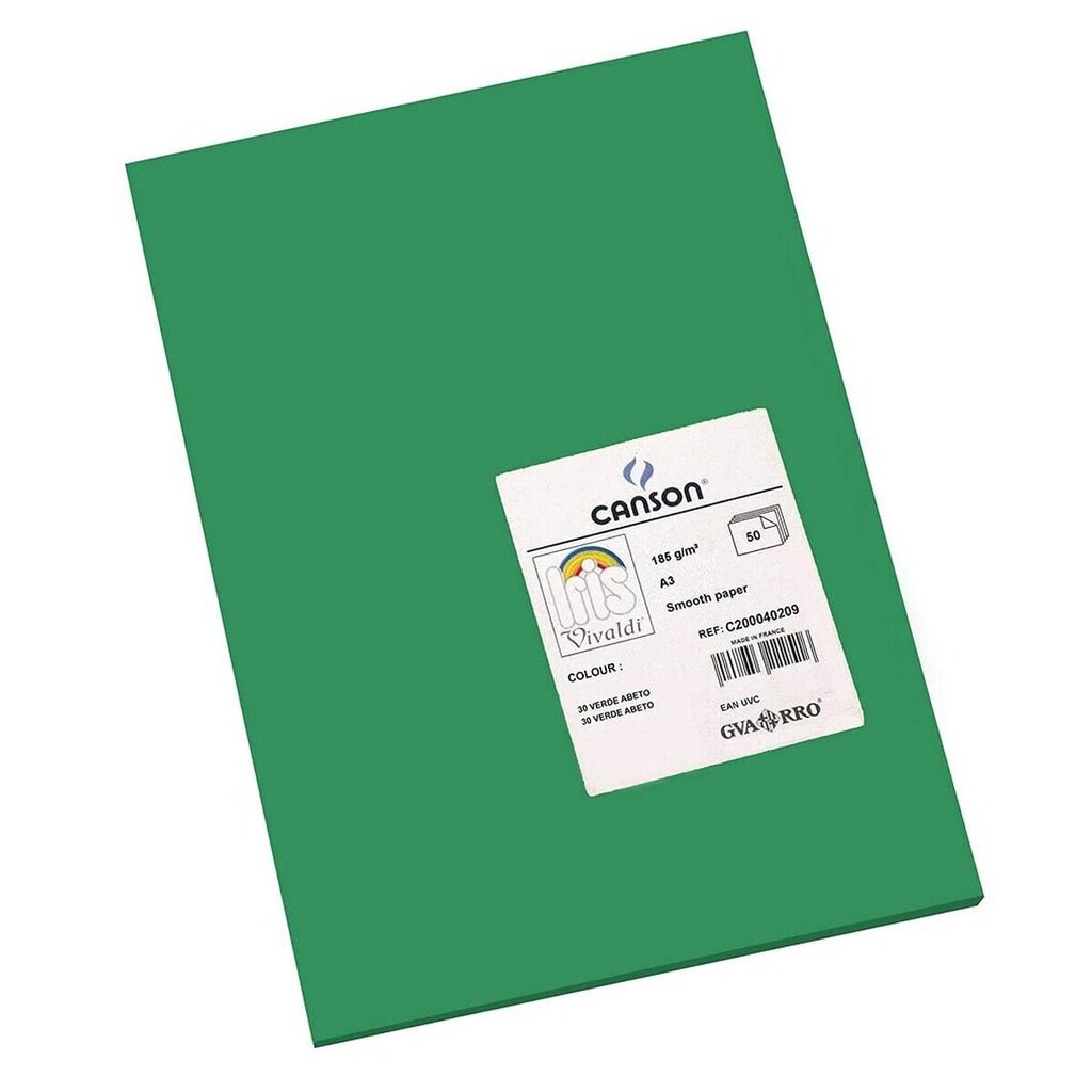 Kartoninis popierius Iris A3, žalias, 50 vnt kaina ir informacija | Sąsiuviniai ir popieriaus prekės | pigu.lt