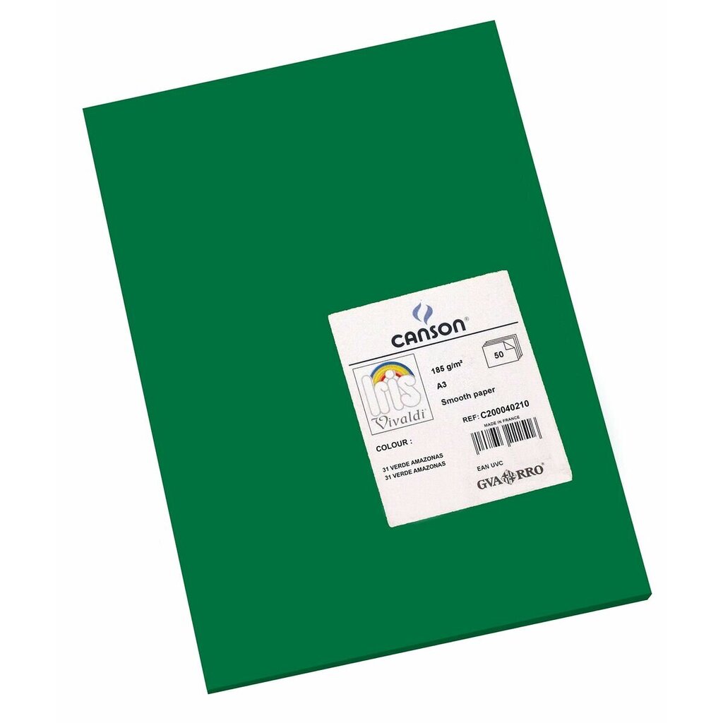 Kartoninis popierius Iris, žalias, 50 vnt kaina ir informacija | Sąsiuviniai ir popieriaus prekės | pigu.lt