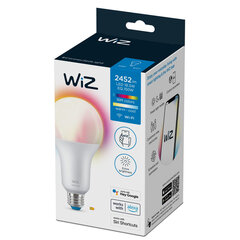 Смарт-лампочка Wiz A80 E27 LED RGB 18,5 W цена и информация | Электрические лампы | pigu.lt