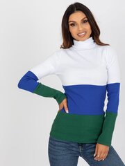 Женская бело-синяя блуза с высоким воротником цена и информация | Женские кофты | pigu.lt