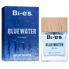 Tualetinis vanduo Bi-es Blue Water Men EDT vyrams, 100ml цена и информация | Мужские духи | pigu.lt