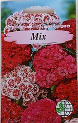Siurpiniai gvazdikai Mix, 2 vnt kaina ir informacija | Gėlių sėklos | pigu.lt