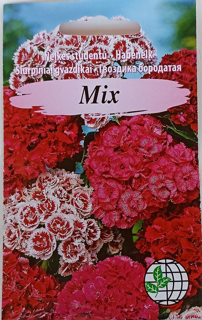 Siurpiniai gvazdikai Mix, 2 vnt цена и информация | Gėlių sėklos | pigu.lt